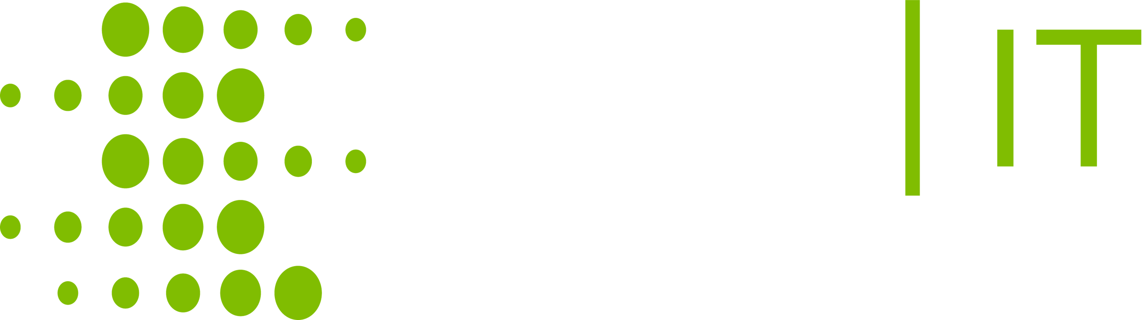 SAM IT Solutions