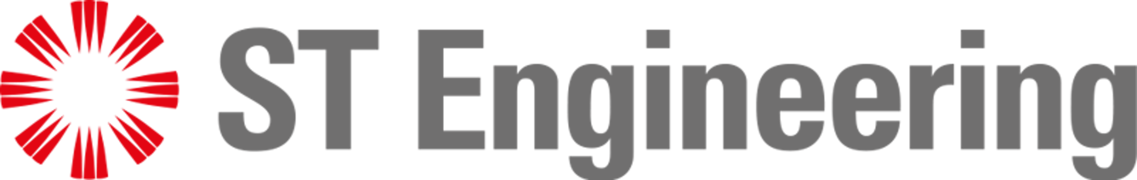 Stengg.com